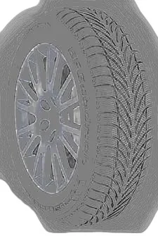 BF Goodrich g-force Winter